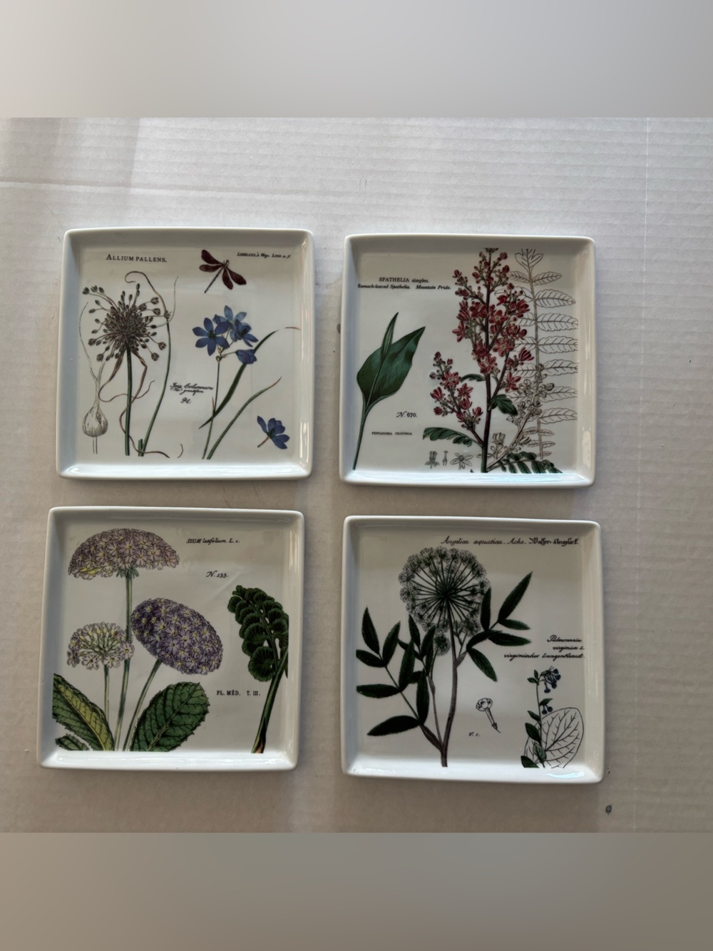 Rosanna Botanical Garden prints on Ceramic Plates